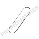 050499 Cummins Serpentine Belt | PAI