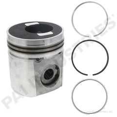 PISTON AND RING KIT