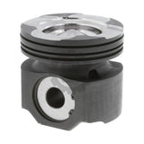 111660 Cummins Piston Kit | PAI