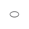 O-RING (Pack of 10)
