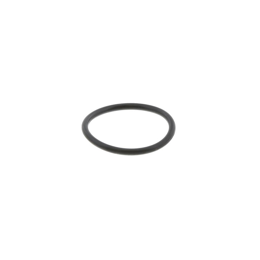 121220 Caterpillar / Fuller 3100 / C7 / 15210 O-Ring