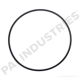 121263 Cummins Rectangular Sealing Ring | PAI