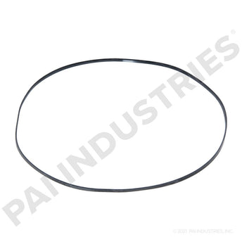 121281 Cummins Rectangular Sealing Ring | PAI