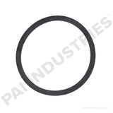 121285 Cummins Rectangular Sealing Ring | PAI