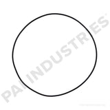 121310 Cummins Liner Seal | PAI