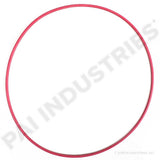 121311 Cummins Seal | PAI