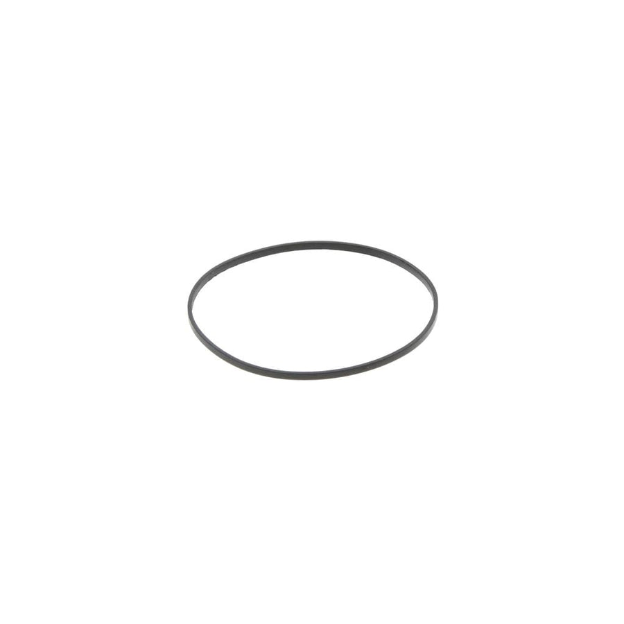 121409 Cummins ISX Rectangular Section Sealing Ring
