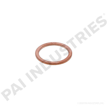 131391 Cummins Washer | PAI