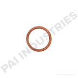 131391 Cummins Washer | PAI