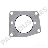 132028 Cummins Fuel Pump Gasket | PAI