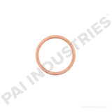 136057 Cummins Washer | PAI