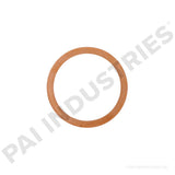 136098 Cummins Washer | PAI