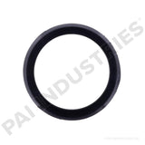 136156 Cummins Dust Shield | PAI