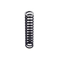Cummins Relief Plunger Spring