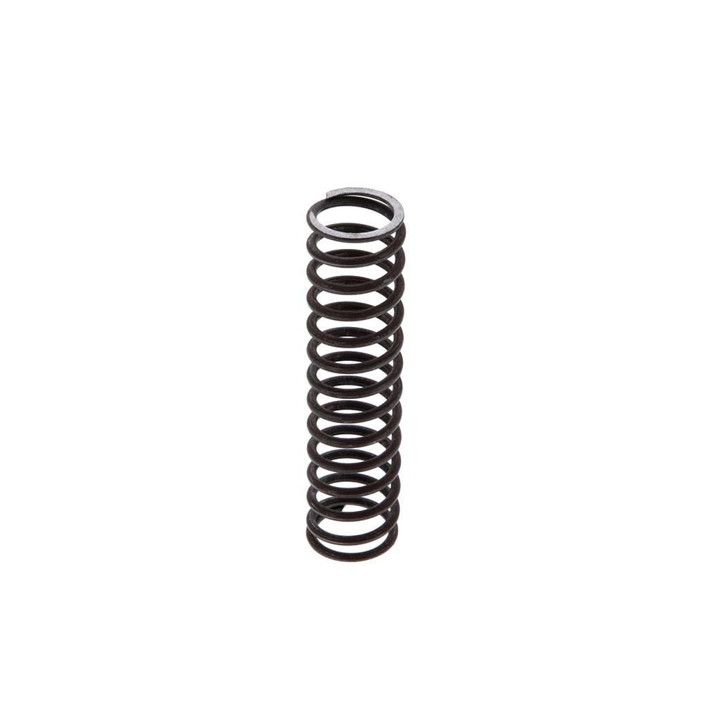 PRESSURE REGULATOR SPRING