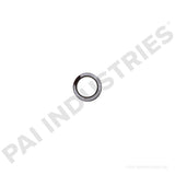 141359 Cummins Pressure Regulator Spring | PAI