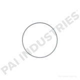 151495 Cummins Cam Bearing | PAI