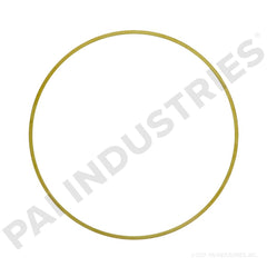 161999 Cummins Liner Shim | PAI | JAK's Diesel (Pack of 6)