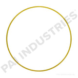 162001 Cummins Liner Shim | PAI