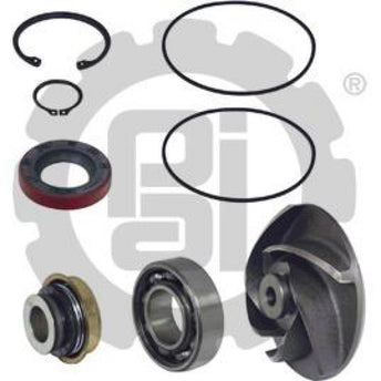 181857 Cummins Water Pump Repair Kit | PAI
