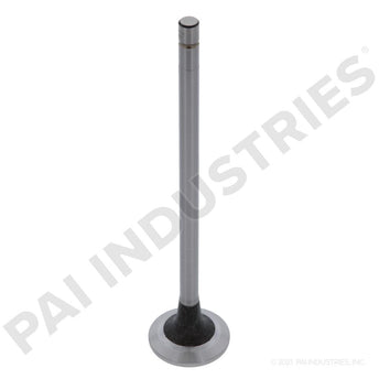 191948 Cummins Intake Valve | PAI