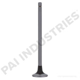 191948 Cummins Intake Valve | PAI