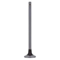 INTAKE VALVE