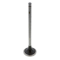 Cummins Intake Valve