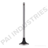 191954 Cummins Intake Valve | PAI