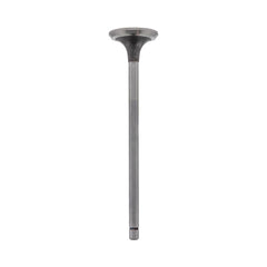 EXHAUST VALVE