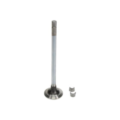 EXHAUST VALVE KIT