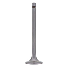 INTAKE VALVE