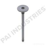 191977 Cummins Intake Valve | PAI