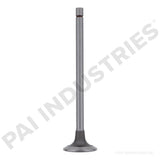 191977 Cummins Intake Valve | PAI