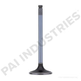 191979 Cummins Intake Valve | PAI