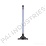 191980 Cummins Intake Valve | PAI