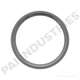 192002 Cummins Exhaust Valve Insert | PAI
