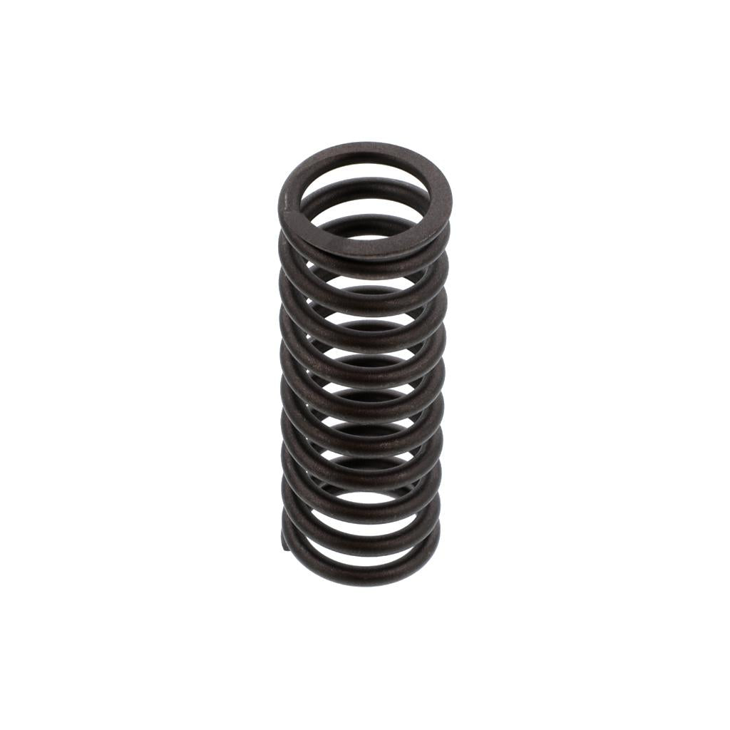 VALVE SPRING (Pack of 4)