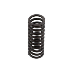 VALVE SPRING (Pack of 4)