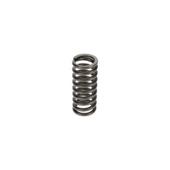 VALVE SPRING