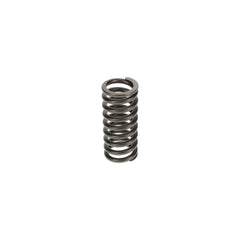 VALVE SPRING