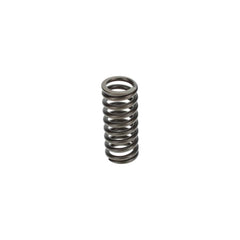 VALVE SPRING