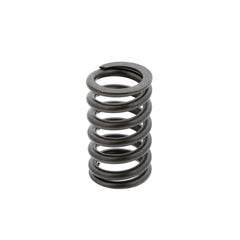 VALVE SPRING