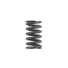 VALVE SPRING