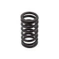 Cummins Valve Spring