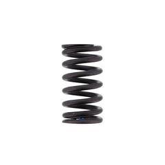 VALVE SPRING