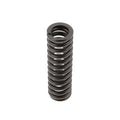 Cummins M11 Valve Spring