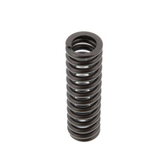 VALVE SPRING
