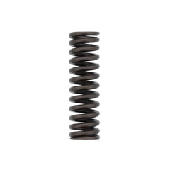 VALVE SPRING