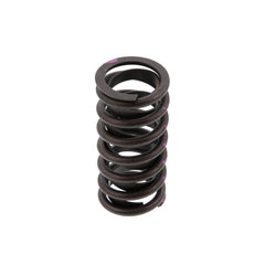 EXHAUST VALVE SPRING